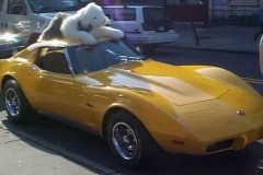 YellowVette